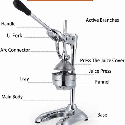 Juice Express Juicer